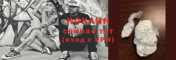 гидра Белокуриха