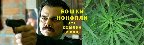 гидра Белокуриха
