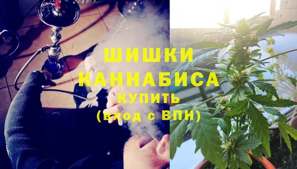 гидра Белокуриха