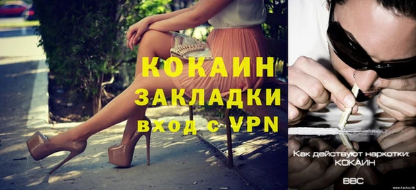 гидра Белокуриха