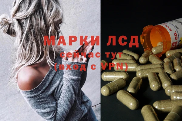 гидра Белокуриха