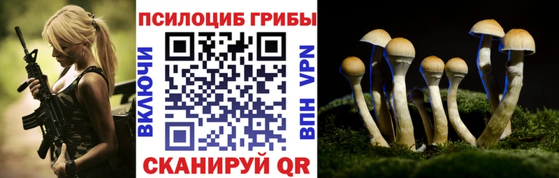 Галлюциногенные грибы MAGIC MUSHROOMS  хочу   Велиж 